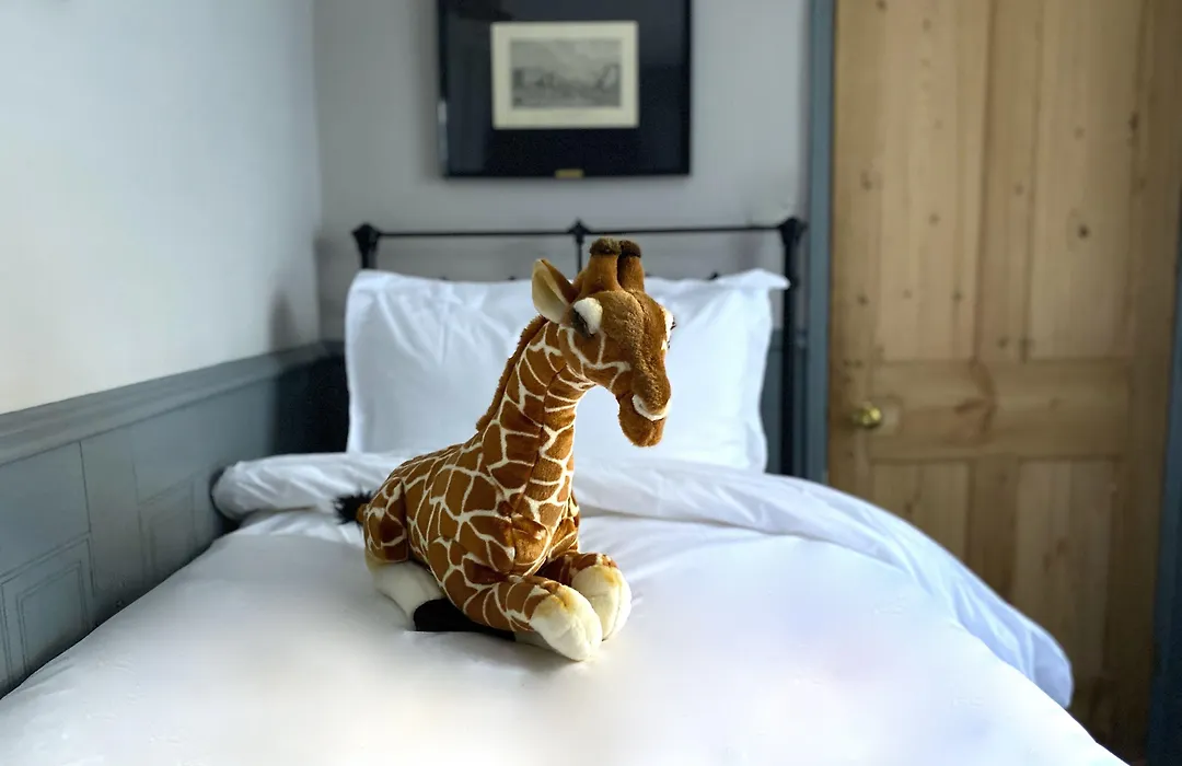 27 Brighton Guesthouse-1