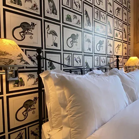 27 Brighton Guesthouse-2